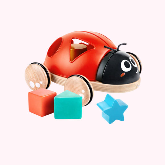 Cute Green Snail Toy